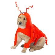 Casual Canine Casual Canine ZA540 24 Lobster Paws Costume XL ZA540 24